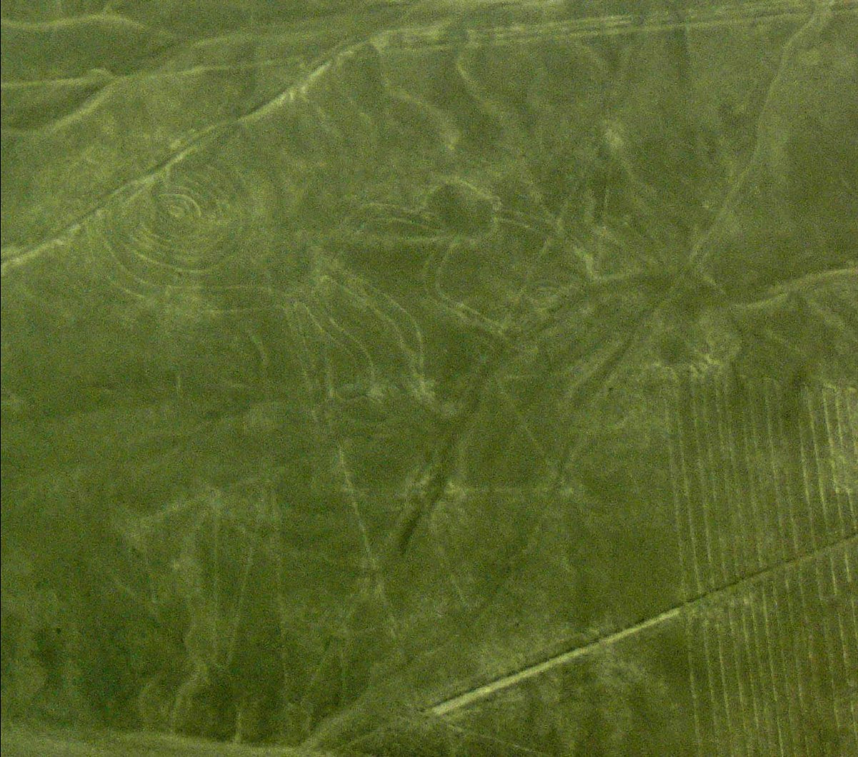 Nasca Lines23 - Monkey